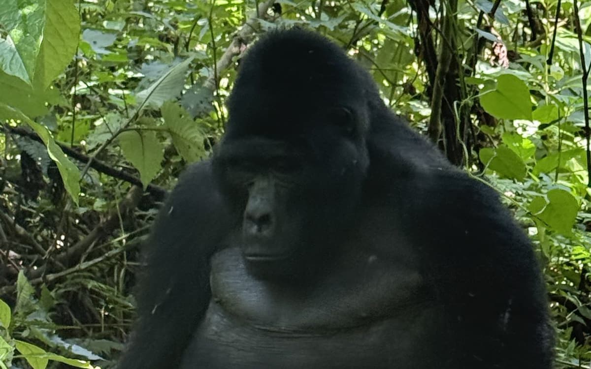 Uganda National AI Sensor Network